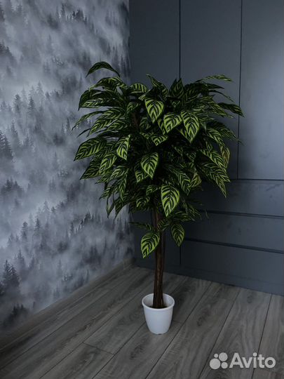 Искуственное дерево Диффенбахия