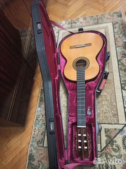 Мастеровая гитара Н.С.Игнатенко из масива