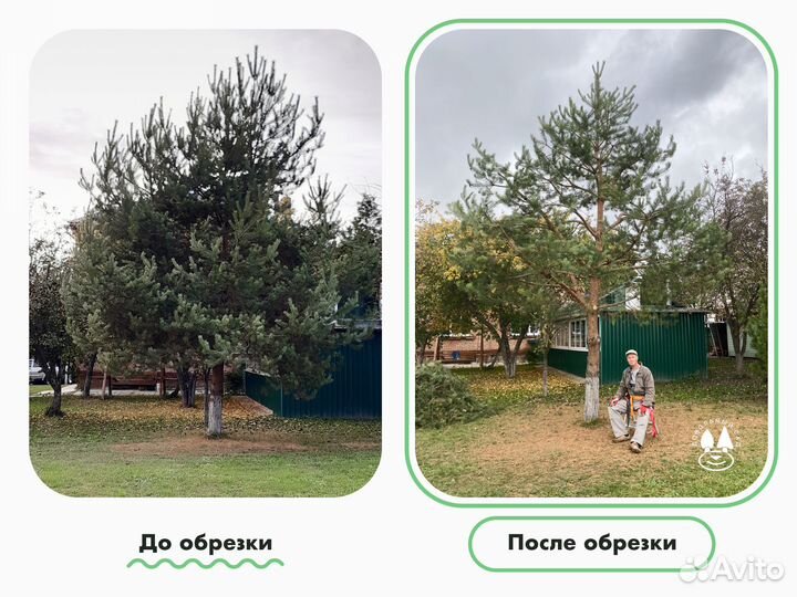 Садовый мастер и консультант