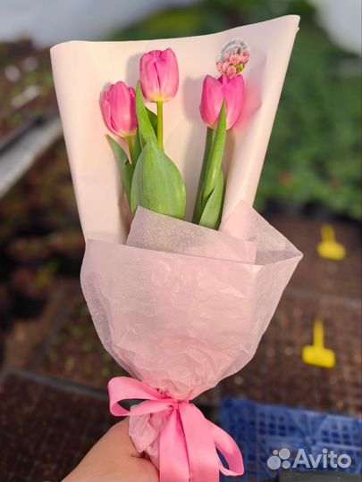 Тюльпаны букет розница