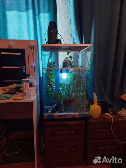 Террариум для хамелеона и др. рептилий