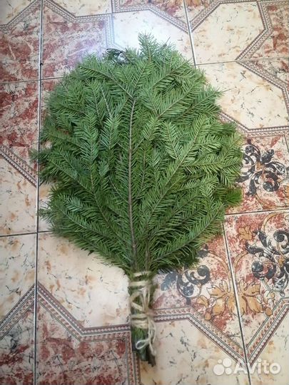 Веники для бани пихтовые, еловые, берёзовые
