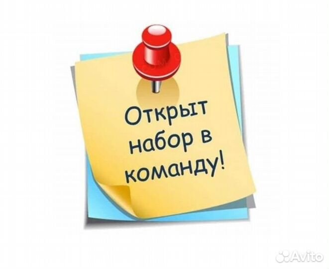 Продавец-кассир в торговую сеть