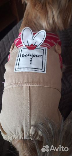 Костюм/комбинезон для собак мелких пород