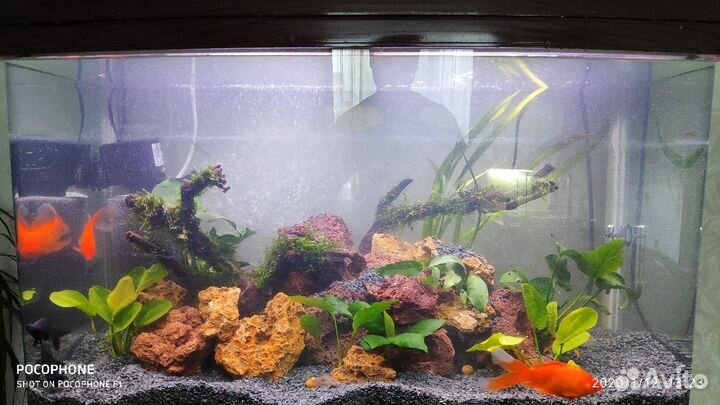 Грунт для аквариума Габбро-диабаз