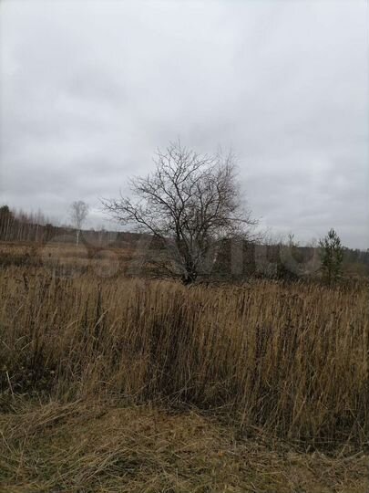 Участок 8 сот. (СНТ, ДНП)