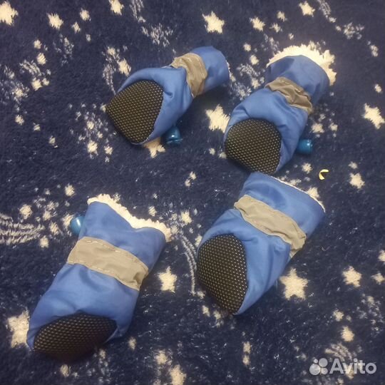 Обувь для собак мелких пород