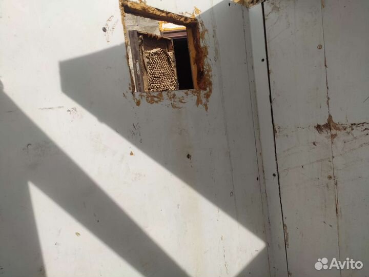 Камера холодильная