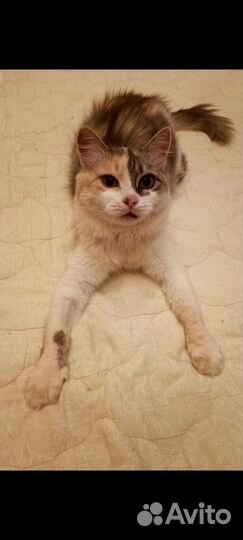 Матильда 9 мес