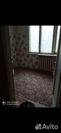 Передержка собак и кошек