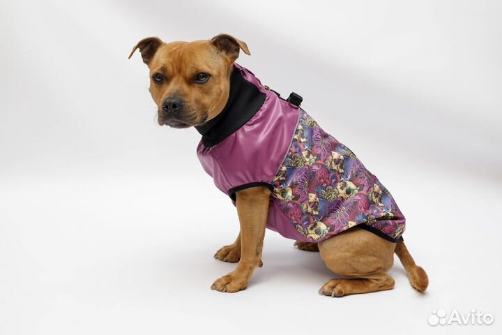Жилет для собак