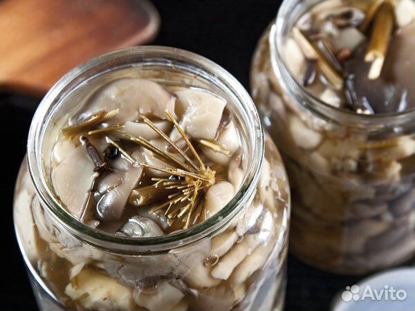 Грибы вешенка маринованная урожай 2024