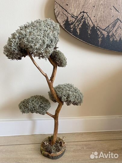 Живое дерево