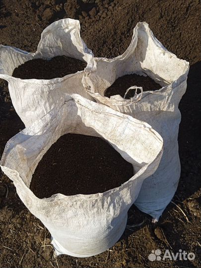 Перегной от крс