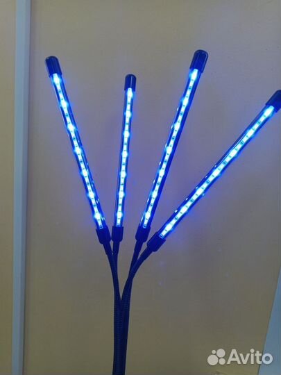 Фитолампа для растений