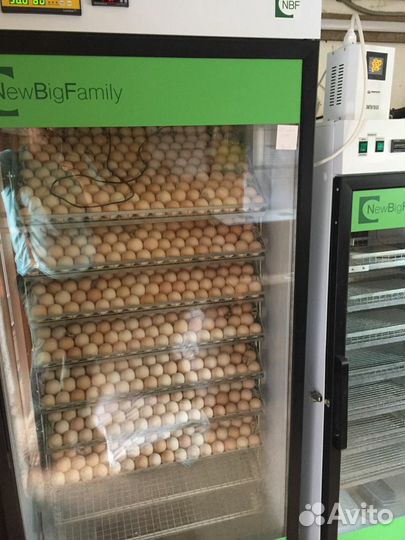 Инкубатор на 1350 яиц