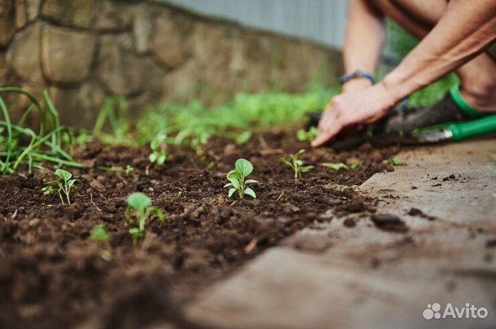 Чернозём Торф Торфосмесь Плодородный грунт Земля