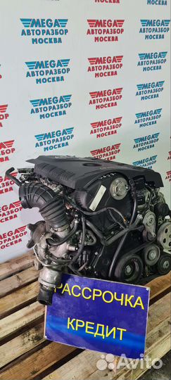 Двигатель CDN Япония идеал в сборе с навестным