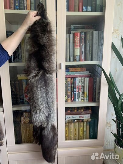 Шкурки чернобурки