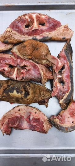 Мясо говядина для собак