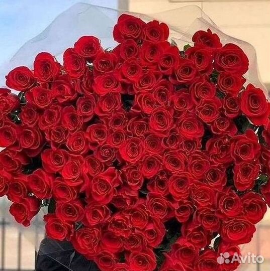 101 роза цветы букеты доставка 25 51 101 роза