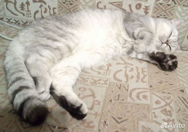 Котик для вязки