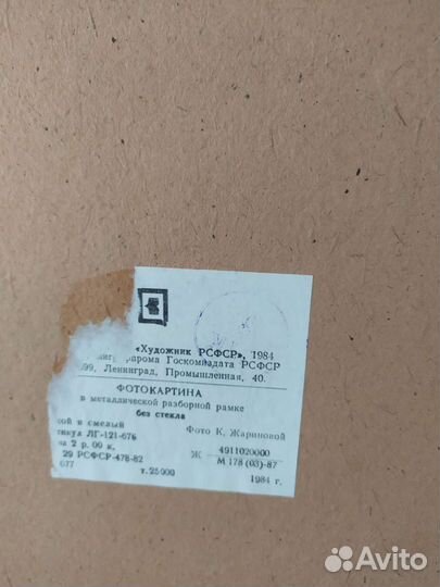 Фотокартина из СССР