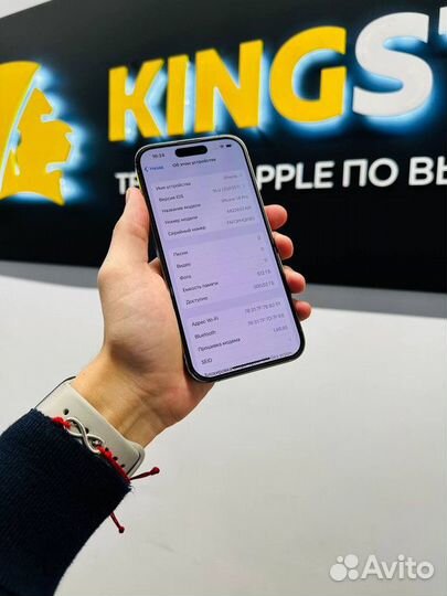 Франшиза кингстор с быстрой окупаемостью