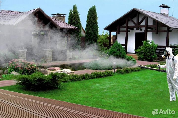 Уничтожение клопов тараканов грибка плесени