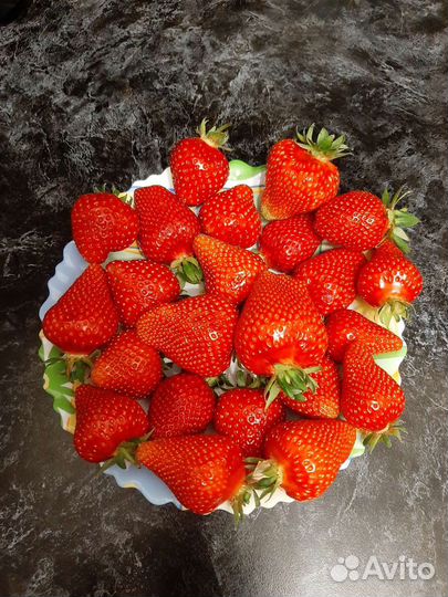 Саженцы клубники