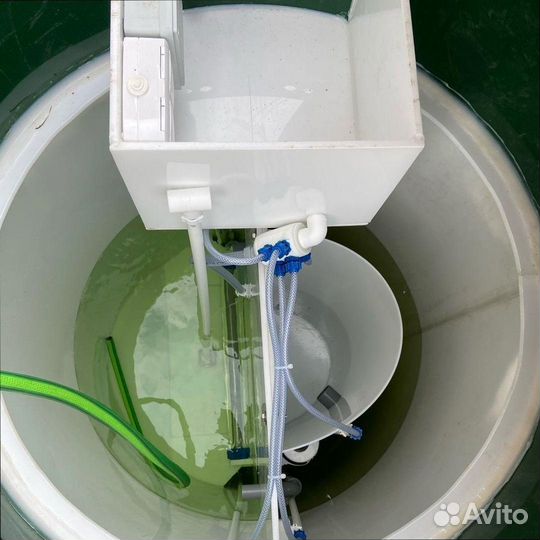 Биосептик без запаха с доставкой