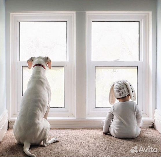 Видеокамера