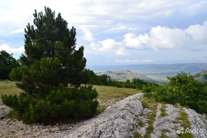 Зеркальный фотоаппарат Nikon d3100