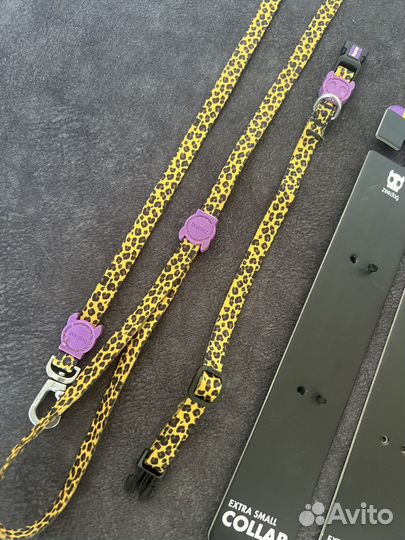 Ощейник и поводок