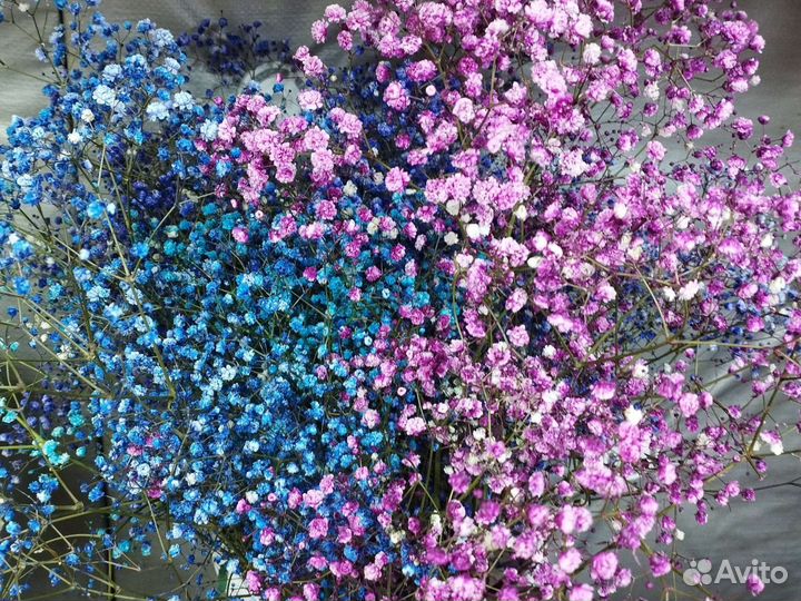 Живые цветы в ассортименте