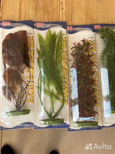 Водоросли для аквариума