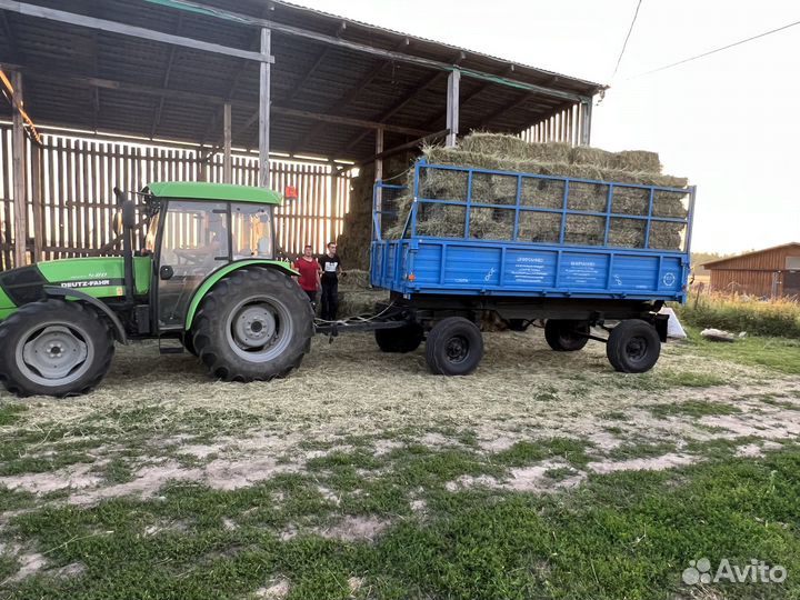 Сено в тюках 2023года,из засеянных трав