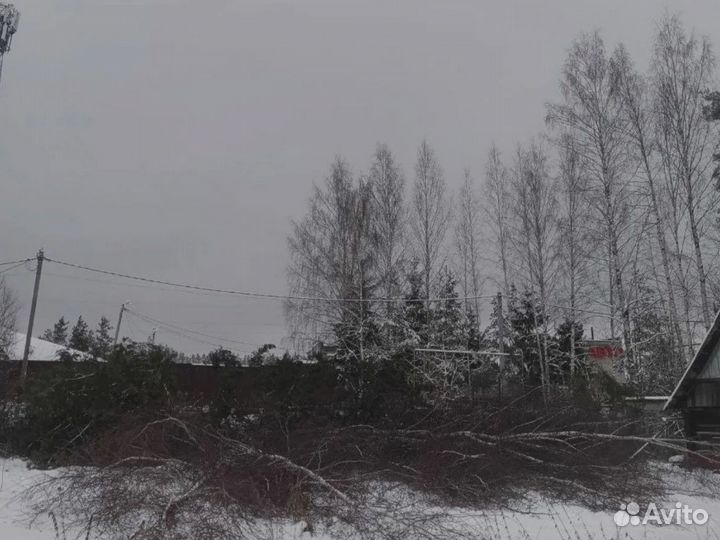 Расчистка участка Спил деревьев Удалeние дepевьeв