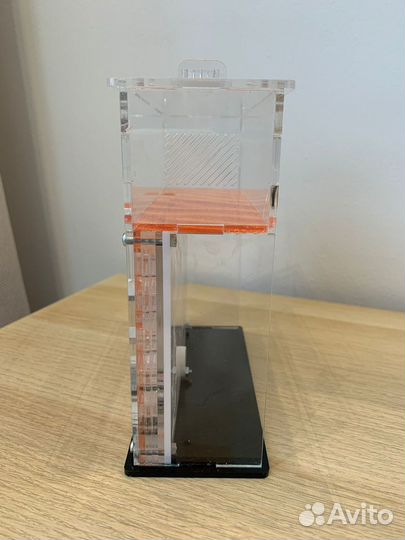 Муравьиная ферма