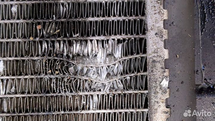 Радиатор охлаждения двигателя Nissan Note E11, 201