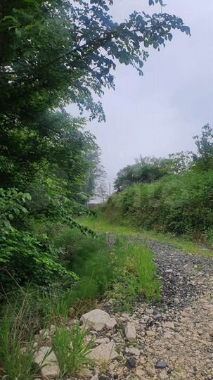 Участок 30 сот. (ИЖС)