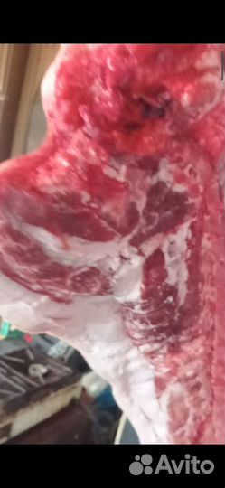 Мясо свинина домашняя
