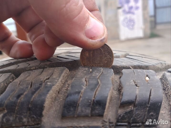 Tigar Winter 205/65 R18