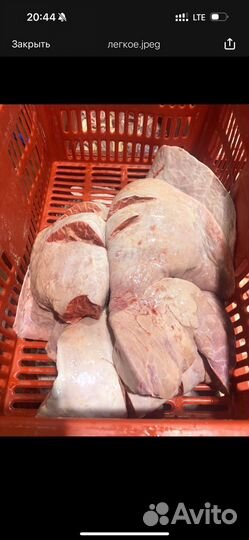 Мясо для животных, собак