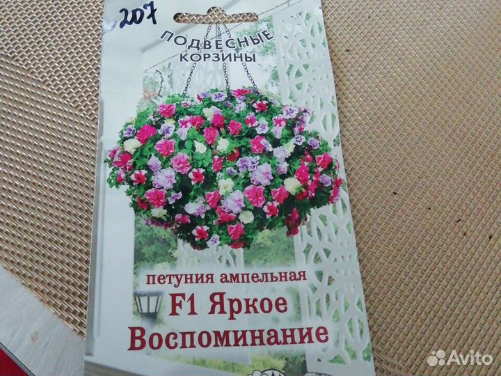 Петуния ампельная рассада