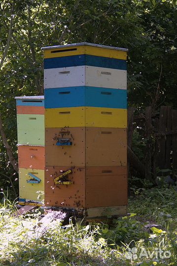 Ульи для пчел бу