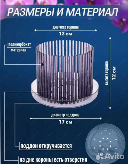 Лилия амазонская.Драцена. Кашпо