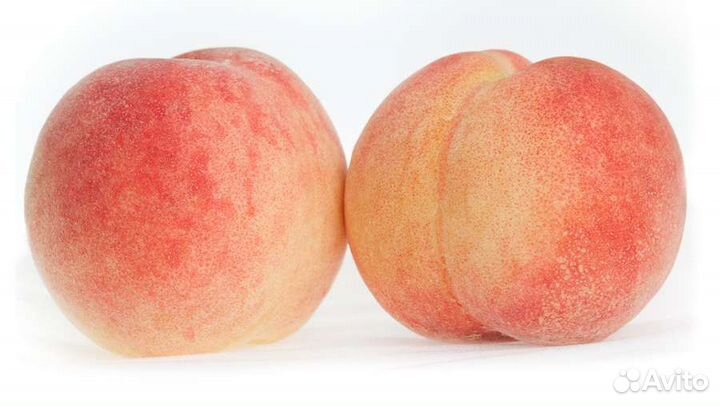 Замороженное пюре Белый Персик 1кг