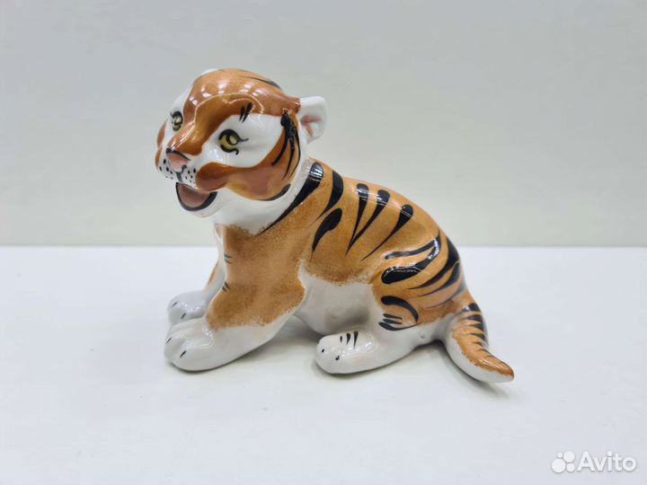 П.1040 Тигрёнок Вербилки