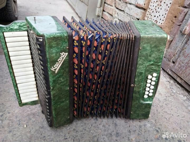 Гармонь белорусь гармонь казань тальянка